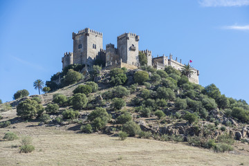 Fototapeta na wymiar Almodovar del Rio Castle, Cordoba, Andalusia, Spain.