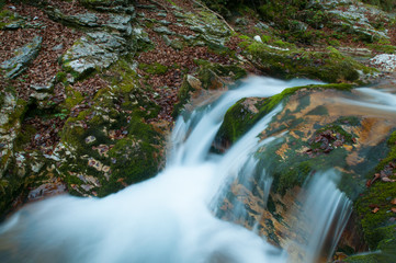 Torrente