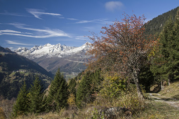 Leventina im Herbst