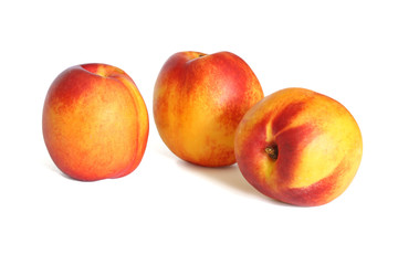 Three nectarines isolated on white background