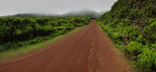 Azores - Terceira - Biscoito da Ferraria