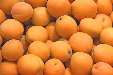 Apricots at a farmers market