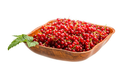 Red currant