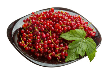 Red currant