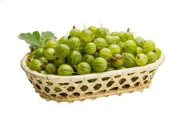 Gooseberry