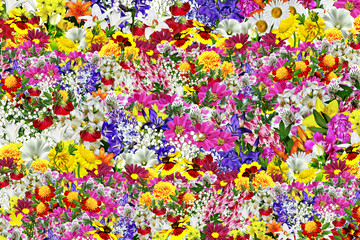 floral background