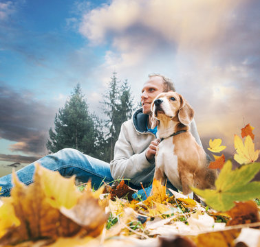 Man with beagle on autumn view landscape