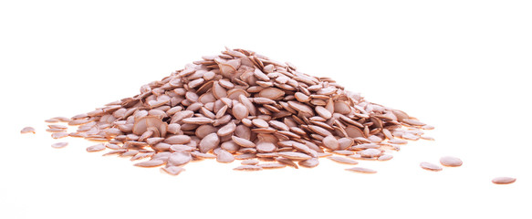 Obraz premium Pumpkin Seeds