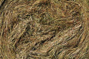 Hay side view
