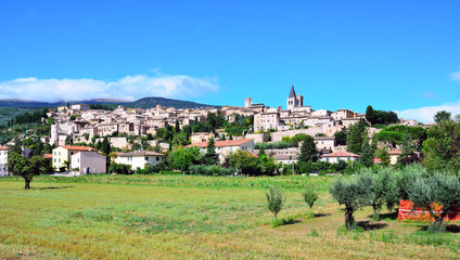 panorama of spello, Umbria, Italy