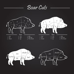 boar meat cut diagram - elements blackboard