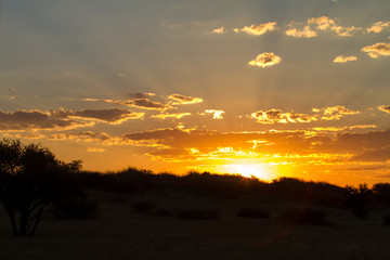 African sunset