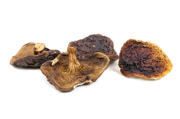 Died mushrooms on white background