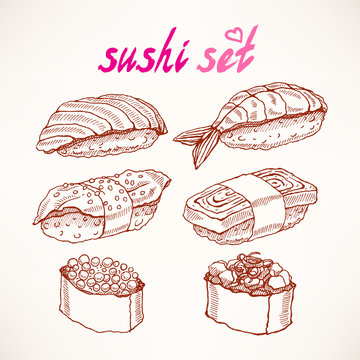 six different kinds of sketch sushi