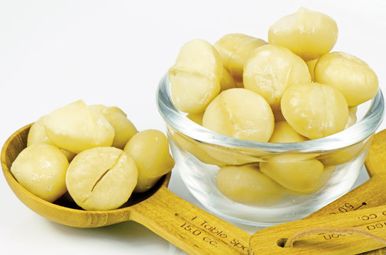 Peeled and Roasted Macadamia Nut (Macadamia integrifolia).