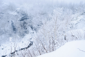 rime