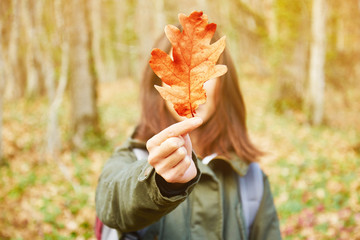 Woman holding oak leaf in autumn - Powered by Adobe