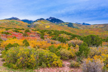 La Sal Mountain Byway in the Fall