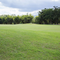 lawn of golf course, green grass field in the park