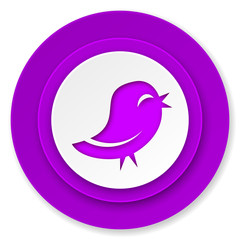 twitter icon, violet button