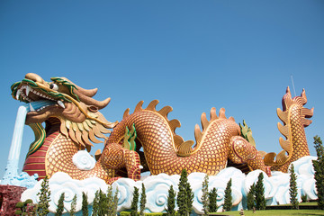 Fototapeta premium Dragon shrine in Suphan Buri Province