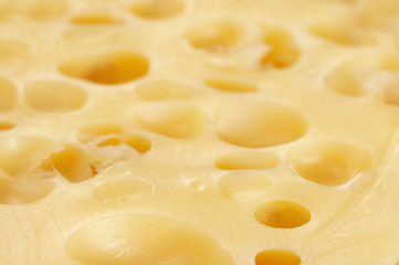 Cheese, macro