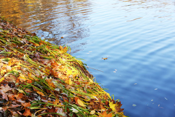 Beautiful nature background