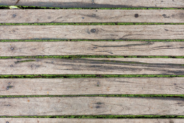 wood floor panel texture with green moss