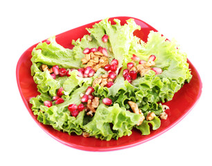 Fresh salad with greens, garnet and spices