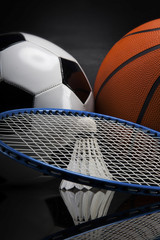 Sports accessories. paddles, sticks, balls and more