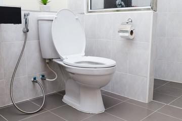 white flush toilet in modern bathroom interior
