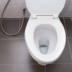 white flush toilet in modern bathroom interior