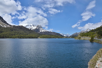 Swiss Alps-view of the lake of Sils