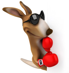 Fun kangaroo © Julien Tromeur
