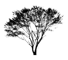Urban Tree Shape Background