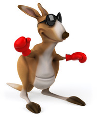 Fun kangaroo © Julien Tromeur