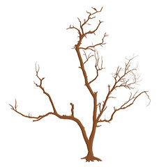 Creative Dead Tree Branches