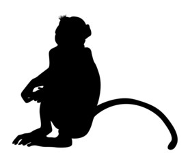 Sitting Monkey Shape