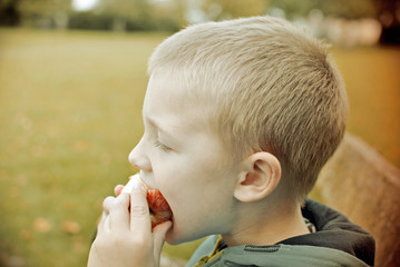 boy eating apple in the park