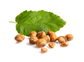 Wild hazelnuts with shell with leaf isolated
