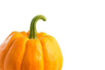 Close-up shot of decorative orange pumpkin