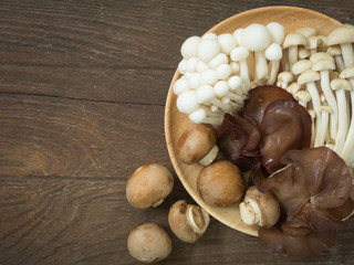 mushroom
