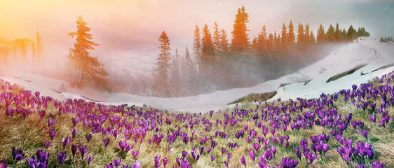 März Karpaten © panaramka