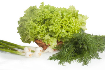 Young garlic, lettuce and dill isolated on white background