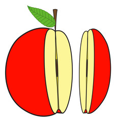 Slices of Apple
