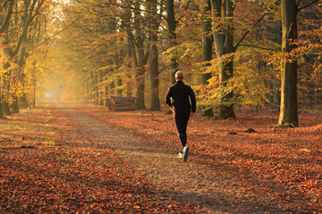 Obraz premium Man trail running in a autumn colored lane in the forest.