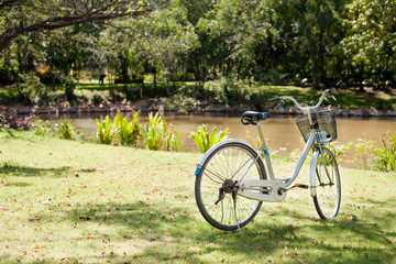 Fototapeta na wymiar Bicycle on the lawn