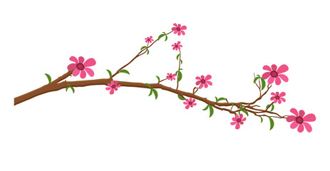 Pink Daisies Branch