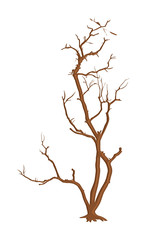 Isolated Dead Tree Background