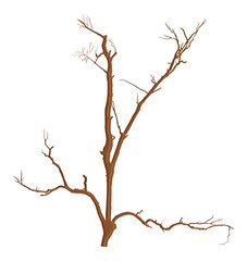 Abstract Dry Dead Tree Branches Designs